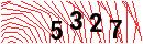 Security Verification