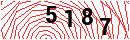 Security Verification