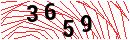 Security Verification