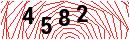 Security Verification