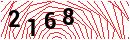 Security Verification