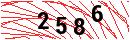 Security Verification