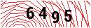 Security Verification