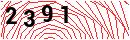 Security Verification