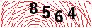 Security Verification