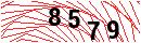 Security Verification