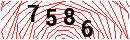 Security Verification
