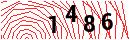Security Verification