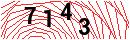 Security Verification