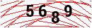 Security Verification