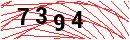 Security Verification