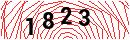 Security Verification