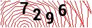 Security Verification
