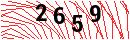Security Verification