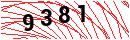 Security Verification