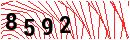 Security Verification