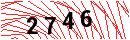 Security Verification