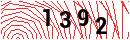 Security Verification
