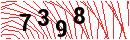 Security Verification