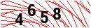 Security Verification
