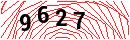 Security Verification