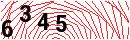 Security Verification
