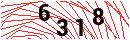 Security Verification