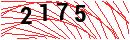 Security Verification