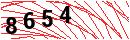 Security Verification