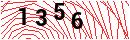 Security Verification