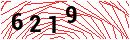 Security Verification