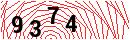 Security Verification