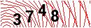 Security Verification