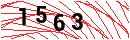 Security Verification
