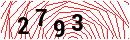 Security Verification