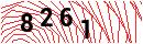 Security Verification