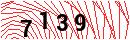 Security Verification