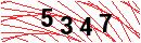 Security Verification