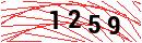 Security Verification
