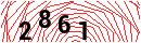 Security Verification