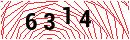 Security Verification