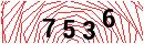 Security Verification