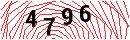 Security Verification