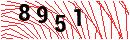 Security Verification