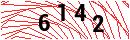 Security Verification