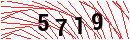 Security Verification