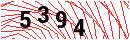 Security Verification