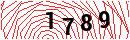 Security Verification