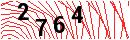 Security Verification