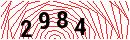 Security Verification